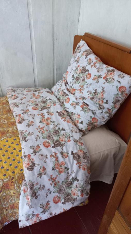 Guest House Georgia Elisabeth Adishi 外观 照片