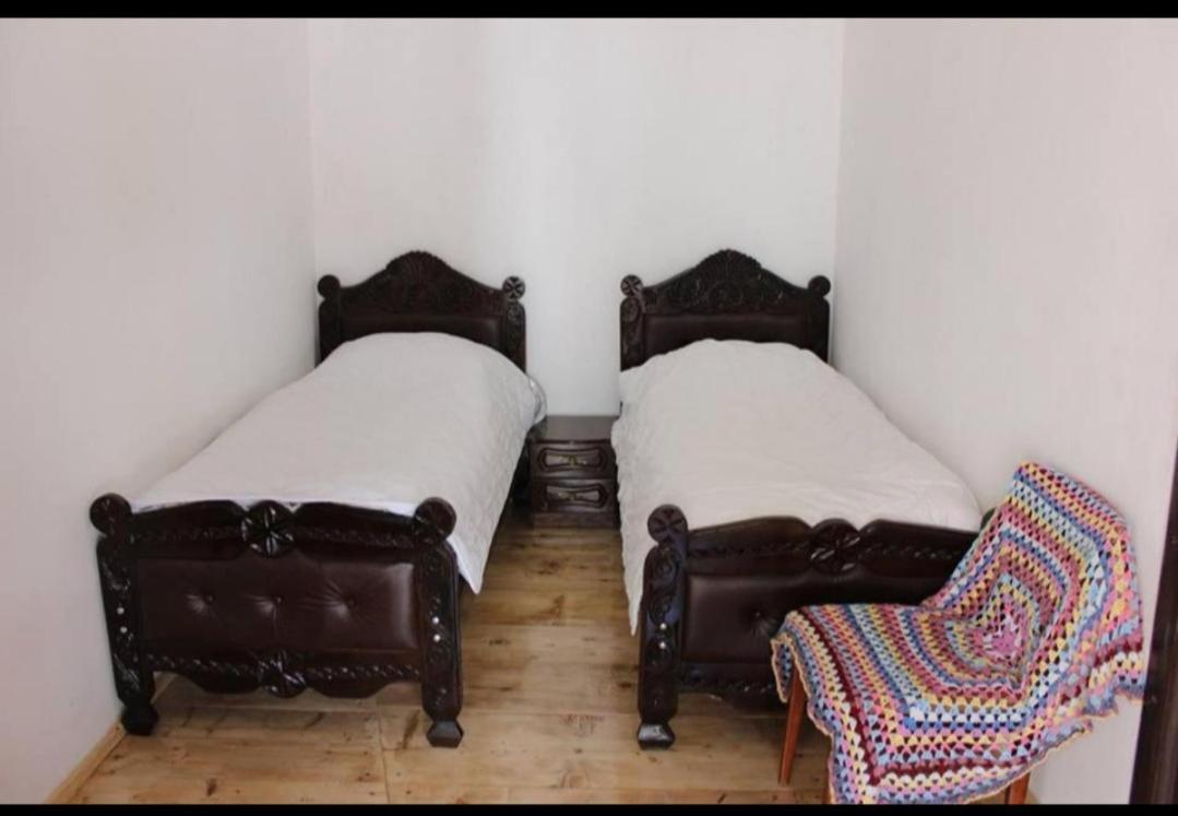 Guest House Georgia Elisabeth Adishi 外观 照片