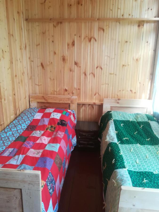 Guest House Georgia Elisabeth Adishi 外观 照片